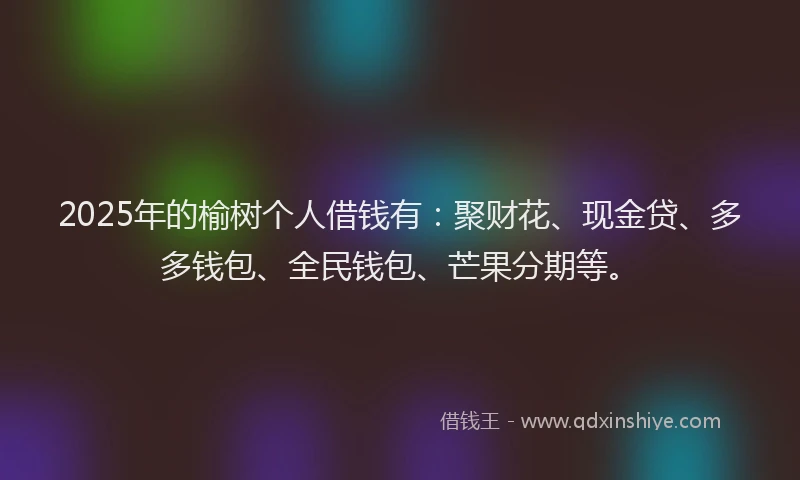 2025年的榆树个人借钱有：聚财花、现金贷、多多钱包、全民钱包、芒果分期等。