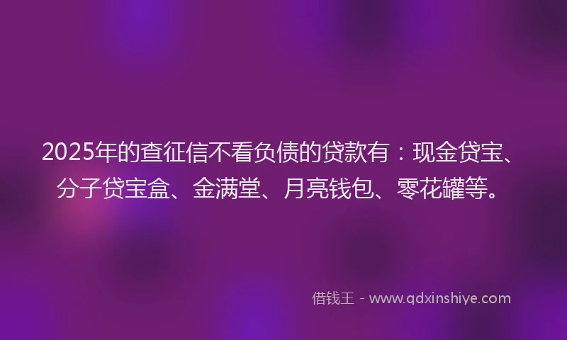 2025年的查征信不看负债的贷款有：现金贷宝、分子贷宝盒、金满堂、月亮钱包、零花罐等。