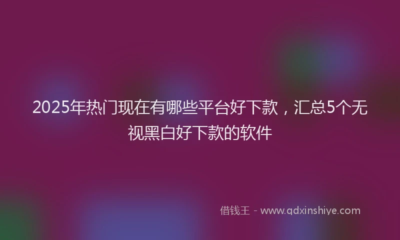 2025年热门现在有哪些平台好下款，汇总5个无视黑白好下款的软件