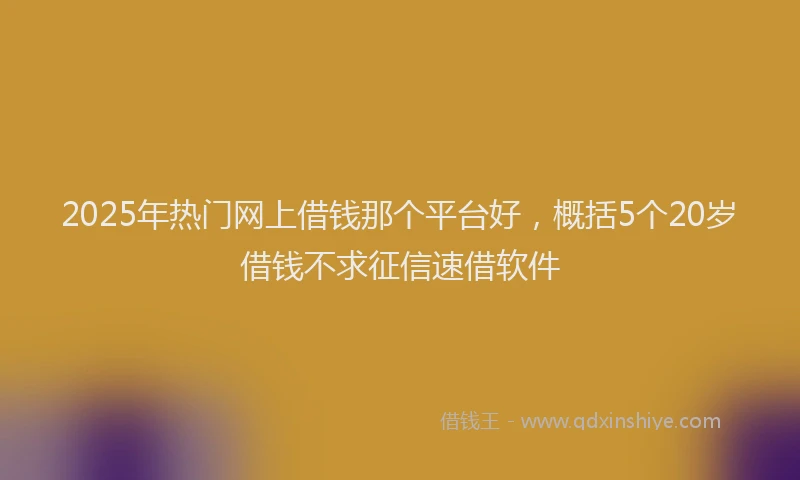 2025年热门网上借钱那个平台好，概括5个20岁借钱不求征信速借软件