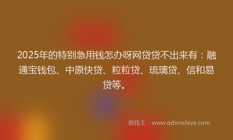 2025年的特别急用钱怎办呀网贷贷不出来有：融通宝钱包、中原快贷、粒粒贷、琉璃贷、信和易贷等。