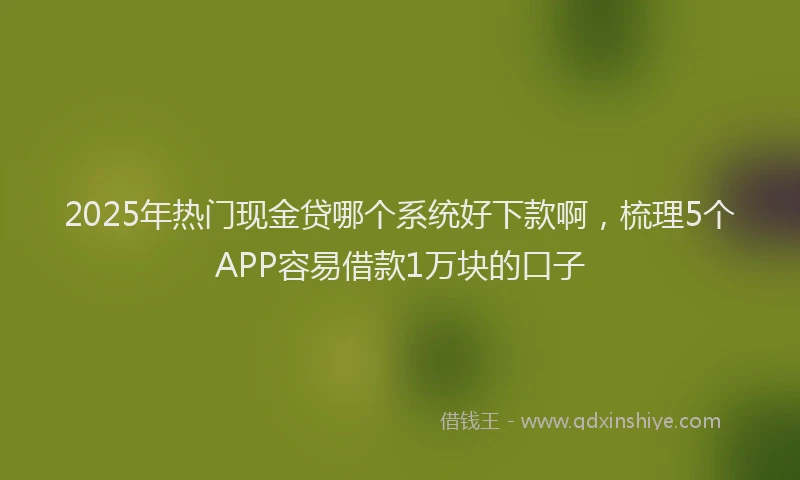 2025年热门现金贷哪个系统好下款啊，梳理5个APP容易借款1万块的口子