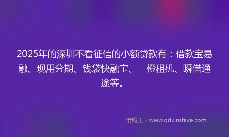 2025年的深圳不看征信的小额贷款有：借款宝易融、现用分期、钱袋快融宝、一橙租机、瞬借通途等。