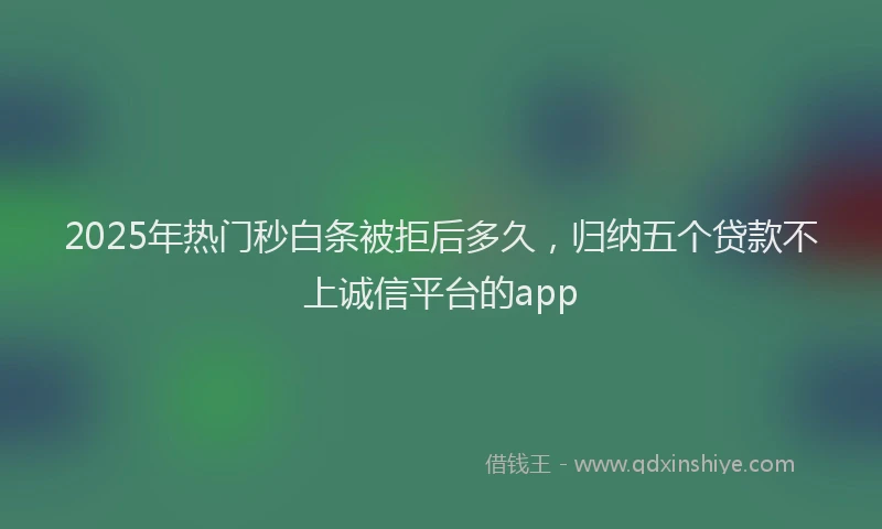2025年热门秒白条被拒后多久，归纳五个贷款不上诚信平台的app