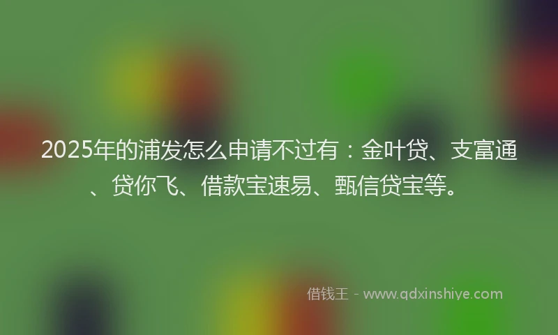 2025年的浦发怎么申请不过有：金叶贷、支富通、贷你飞、借款宝速易、甄信贷宝等。