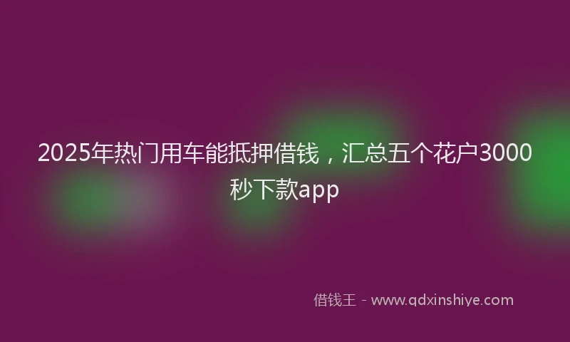 2025年热门用车能抵押借钱，汇总五个花户3000秒下款app