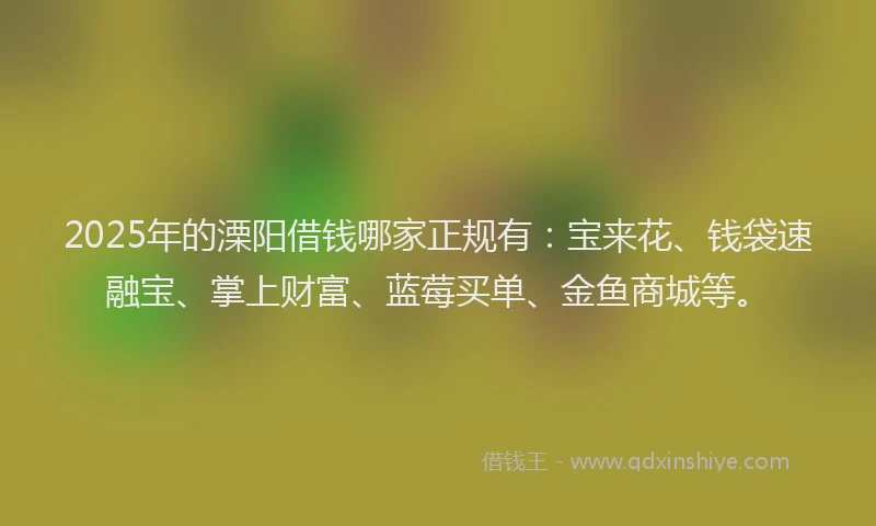 2025年的溧阳借钱哪家正规有：宝来花、钱袋速融宝、掌上财富、蓝莓买单、金鱼商城等。