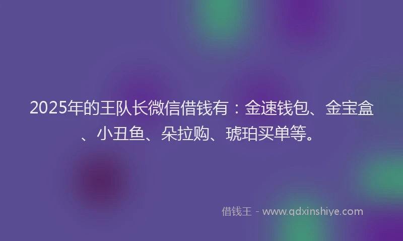 2025年的王队长微信借钱有：金速钱包、金宝盒、小丑鱼、朵拉购、琥珀买单等。