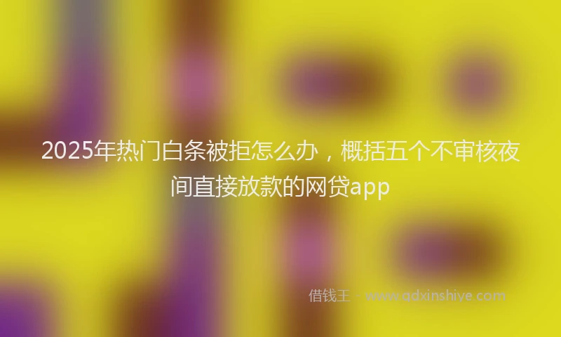 2025年热门白条被拒怎么办，概括五个不审核夜间直接放款的网贷app