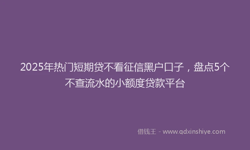 2025年热门短期贷不看征信黑户口子，盘点5个不查流水的小额度贷款平台