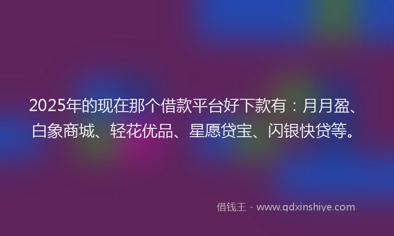 2025年的现在那个借款平台好下款有：月月盈、白象商城、轻花优品、星愿贷宝、闪银快贷等。