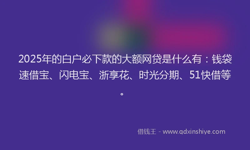 2025年的白户必下款的大额网贷是什么有：钱袋速借宝、闪电宝、浙享花、时光分期、51快借等。
