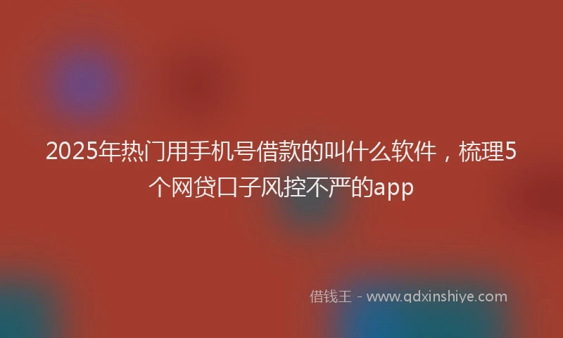 2025年热门用手机号借款的叫什么软件，梳理5个网贷口子风控不严的app