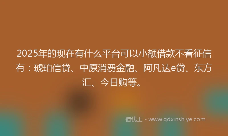 2025年的现在有什么平台可以小额借款不看征信有：琥珀信贷、中原消费金融、阿凡达e贷、东方汇、今日购等。