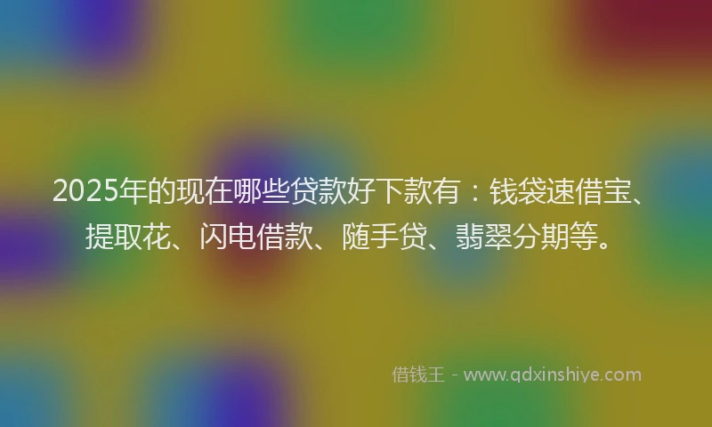 2025年的现在哪些贷款好下款有：钱袋速借宝、提取花、闪电借款、随手贷、翡翠分期等。