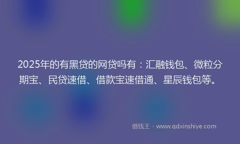 2025年的有黑贷的网贷吗有：汇融钱包、微粒分期宝、民贷速借、借款宝速借通、星辰钱包等。
