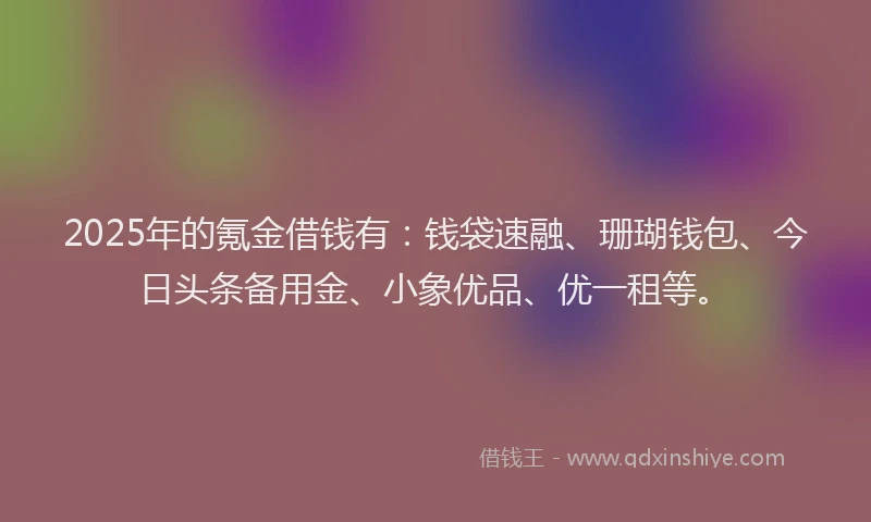 2025年的氪金借钱有：钱袋速融、珊瑚钱包、今日头条备用金、小象优品、优一租等。
