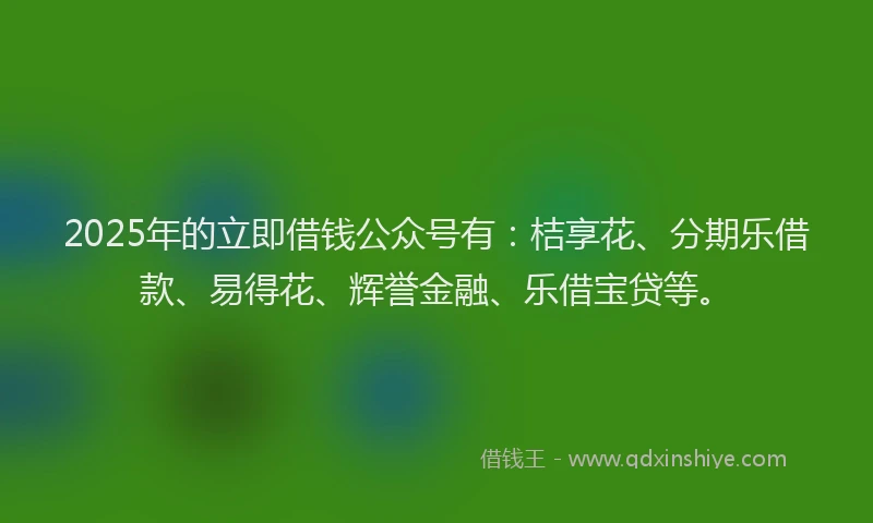 2025年的立即借钱公众号有：桔享花、分期乐借款、易得花、辉誉金融、乐借宝贷等。