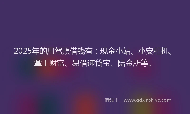 2025年的用驾照借钱有：现金小站、小安租机、掌上财富、易借速贷宝、陆金所等。
