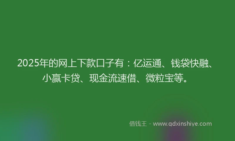 2025年的网上下款口子有：亿运通、钱袋快融、小赢卡贷、现金流速借、微粒宝等。