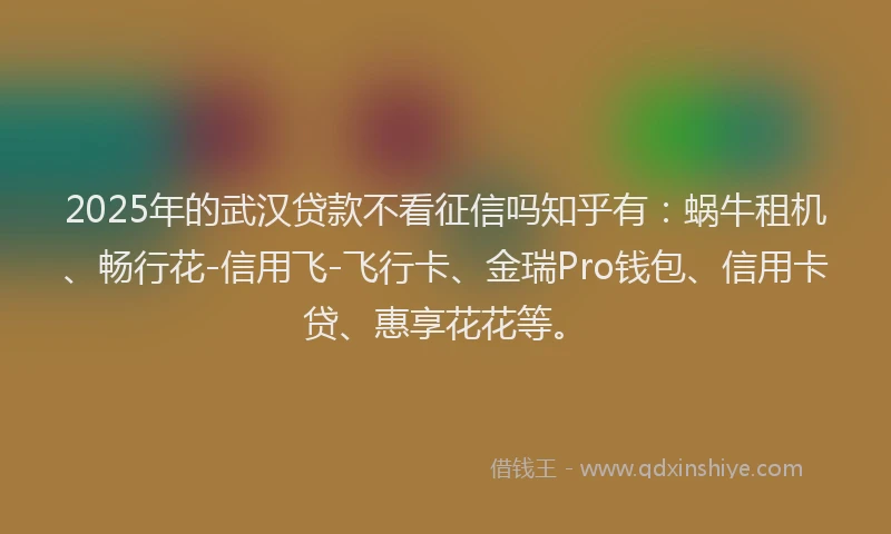 2025年的武汉贷款不看征信吗知乎有：蜗牛租机、畅行花-信用飞-飞行卡、金瑞Pro钱包、信用卡贷、惠享花花等。