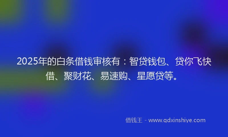 2025年的白条借钱审核有：智贷钱包、贷你飞快借、聚财花、易速购、星愿贷等。