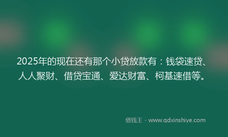 2025年的现在还有那个小贷放款有：钱袋速贷、人人聚财、借贷宝通、爱达财富、柯基速借等。