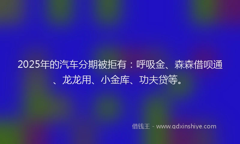 2025年的汽车分期被拒有：呼吸金、森森借呗通、龙龙用、小金库、功夫贷等。