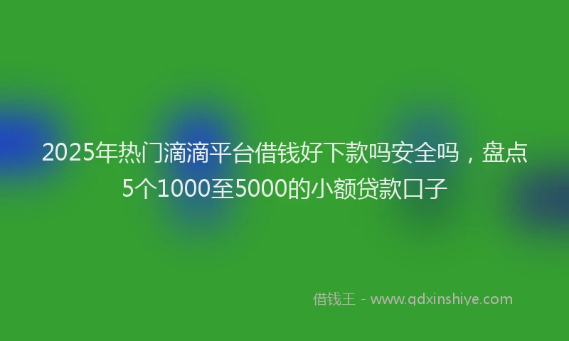 2025年热门滴滴平台借钱好下款吗安全吗，盘点5个1000至5000的小额贷款口子