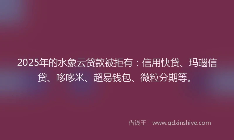 2025年的水象云贷款被拒有：信用快贷、玛瑙信贷、哆哆米、超易钱包、微粒分期等。