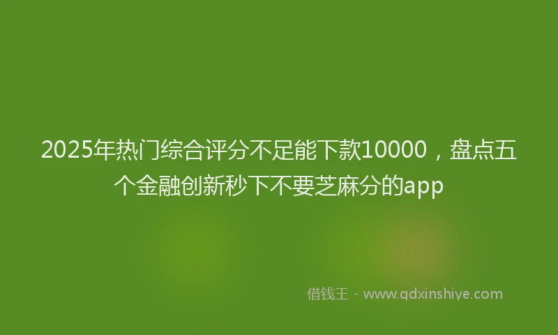 2025年热门综合评分不足能下款10000，盘点五个金融创新秒下不要芝麻分的app