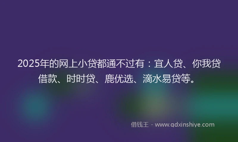 2025年的网上小贷都通不过有：宜人贷、你我贷借款、时时贷、鹿优选、滴水易贷等。