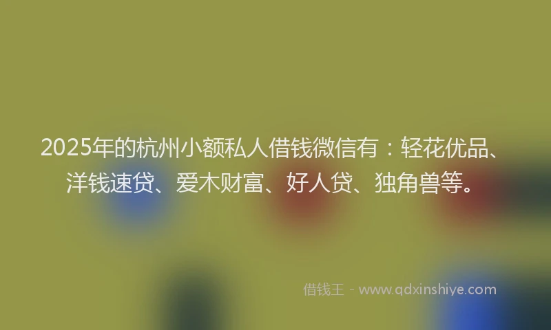 2025年的杭州小额私人借钱微信有：轻花优品、洋钱速贷、爱木财富、好人贷、独角兽等。