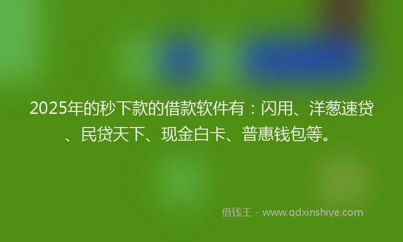 2025年的秒下款的借款软件有：闪用、洋葱速贷、民贷天下、现金白卡、普惠钱包等。