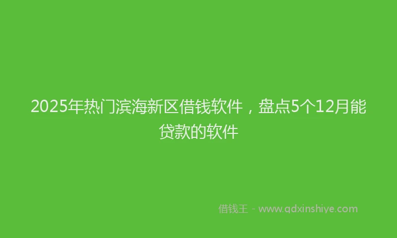 2025年热门滨海新区借钱软件，盘点5个12月能贷款的软件