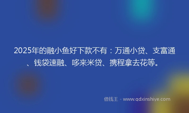 2025年的融小鱼好下款不有：万通小贷、支富通、钱袋速融、哆来米贷、携程拿去花等。