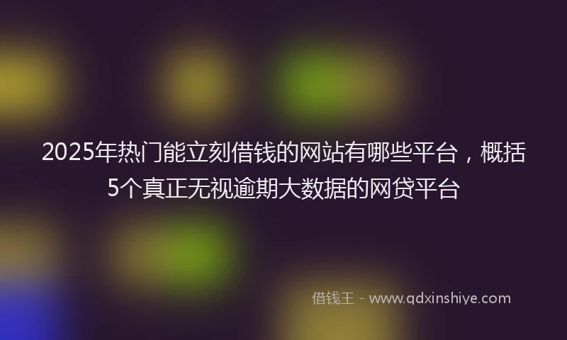 2025年热门能立刻借钱的网站有哪些平台，概括5个真正无视逾期大数据的网贷平台