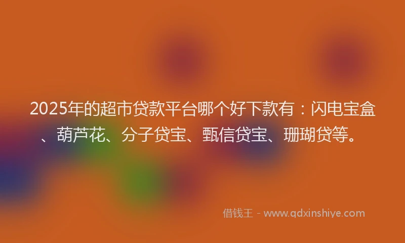 2025年的超市贷款平台哪个好下款有：闪电宝盒、葫芦花、分子贷宝、甄信贷宝、珊瑚贷等。