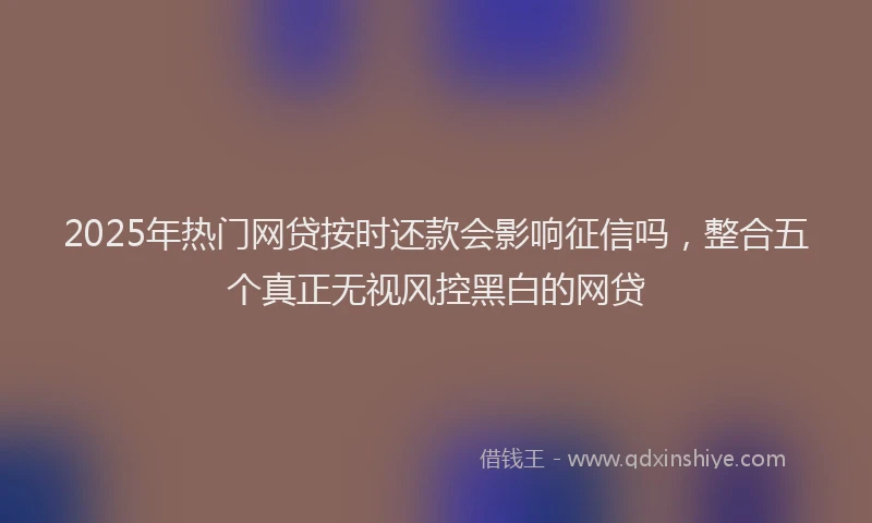 2025年热门网贷按时还款会影响征信吗，整合五个真正无视风控黑白的网贷