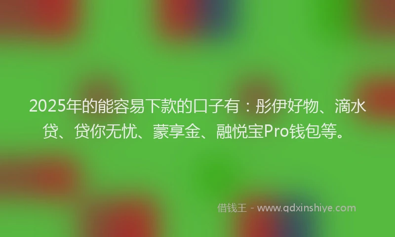 2025年的能容易下款的口子有：彤伊好物、滴水贷、贷你无忧、蒙享金、融悦宝Pro钱包等。