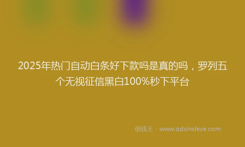2025年热门自动白条好下款吗是真的吗，罗列五个无视征信黑白100%秒下平台