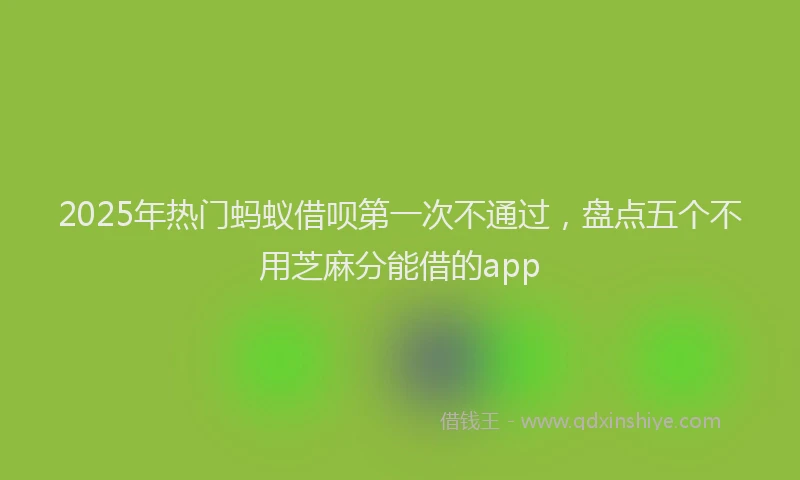 2025年热门蚂蚁借呗第一次不通过，盘点五个不用芝麻分能借的app