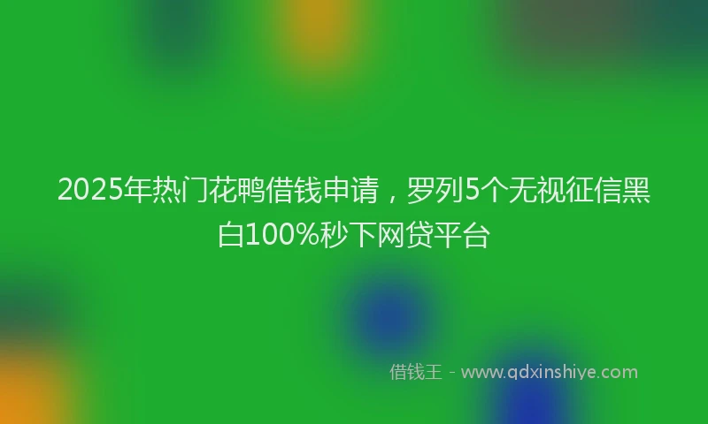 2025年热门花鸭借钱申请，罗列5个无视征信黑白100%秒下网贷平台