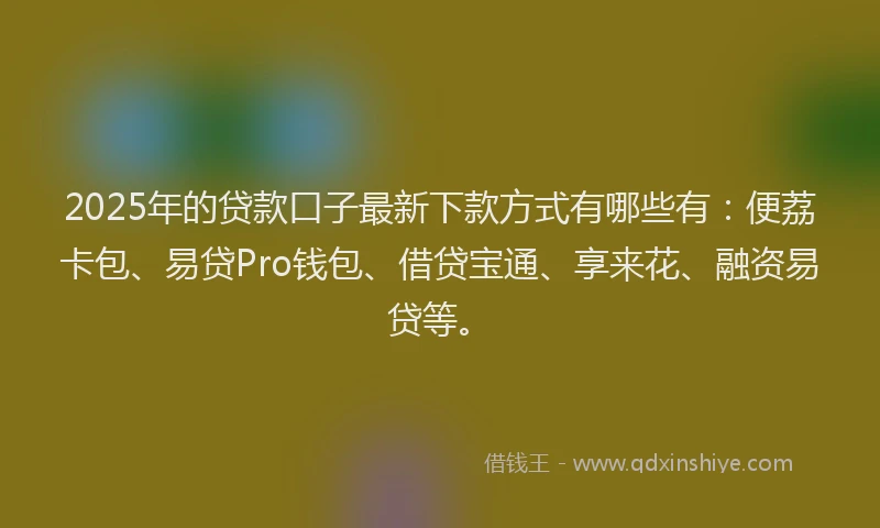 2025年的贷款口子最新下款方式有哪些有：便荔卡包、易贷Pro钱包、借贷宝通、享来花、融资易贷等。