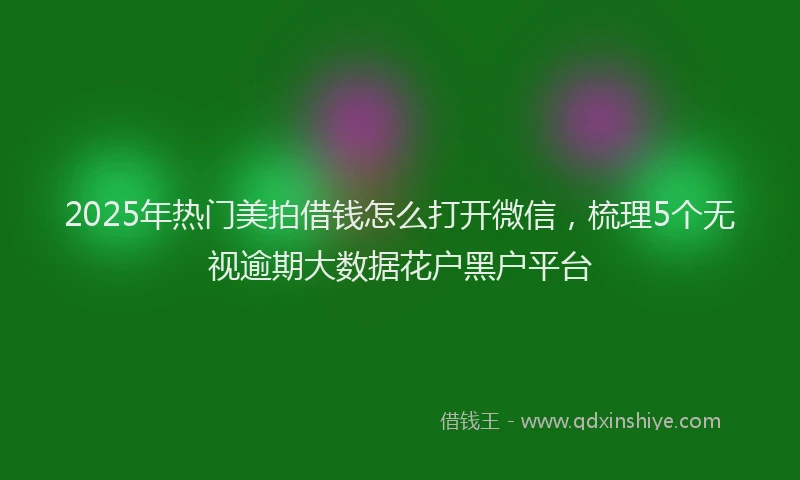 2025年热门美拍借钱怎么打开微信，梳理5个无视逾期大数据花户黑户平台