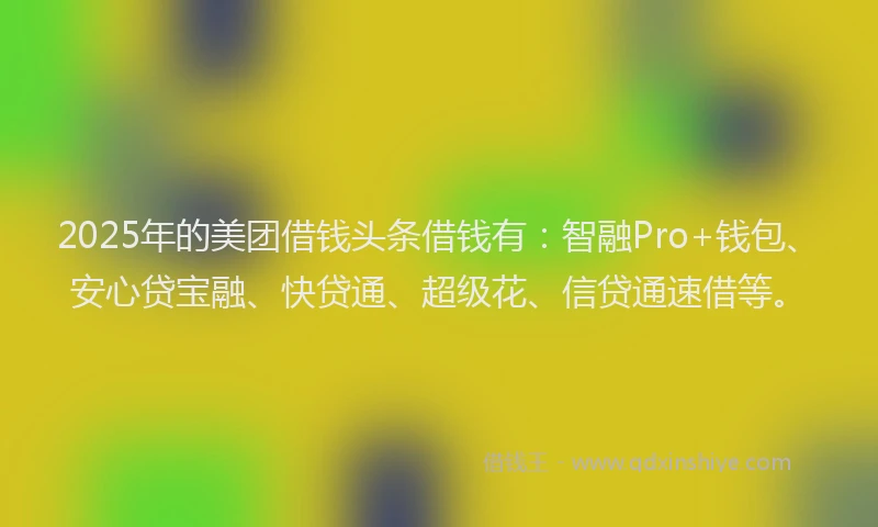 2025年的美团借钱头条借钱有：智融Pro+钱包、安心贷宝融、快贷通、超级花、信贷通速借等。