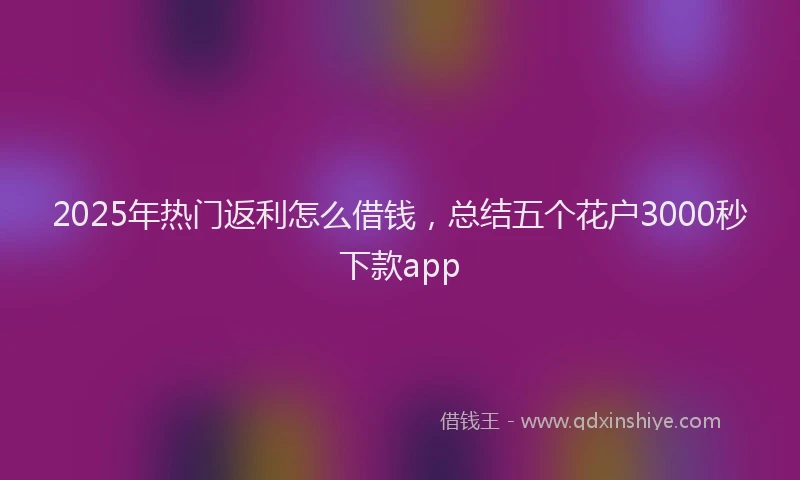 2025年热门返利怎么借钱，总结五个花户3000秒下款app