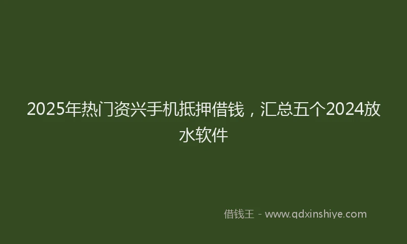 2025年热门资兴手机抵押借钱，汇总五个2024放水软件