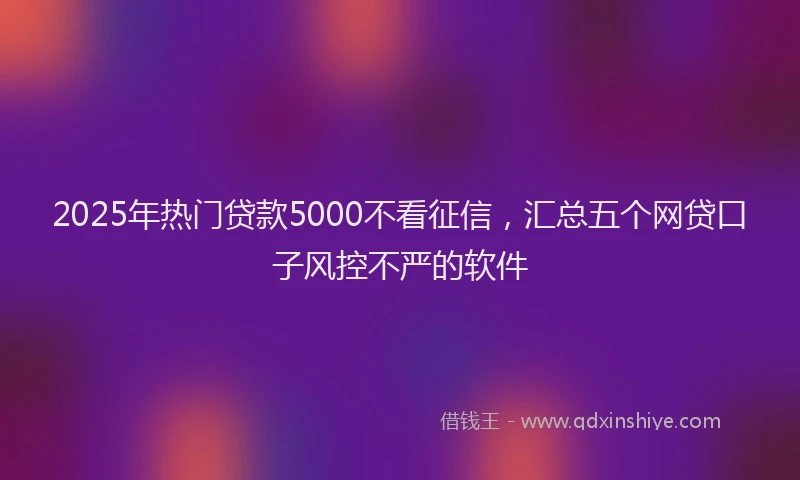 2025年热门贷款5000不看征信，汇总五个网贷口子风控不严的软件