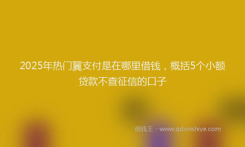 2025年热门翼支付是在哪里借钱，概括5个小额贷款不查征信的口子